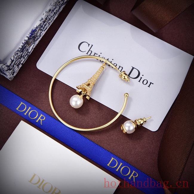 Dior Earrings CE12116 Dior Earrings CE12116