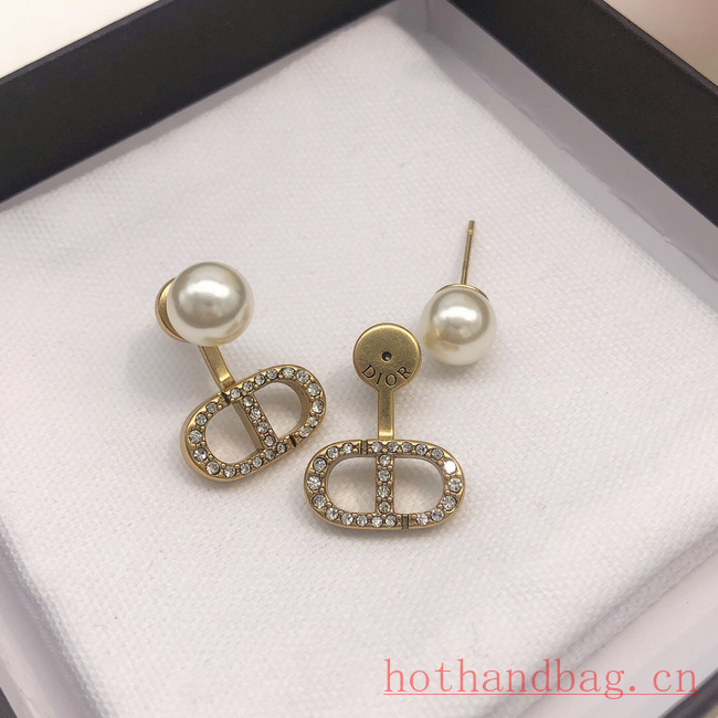 Dior Earrings CE12210 Dior Earrings CE12210