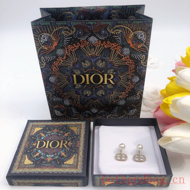 Dior Earrings CE12210 Dior Earrings CE12210