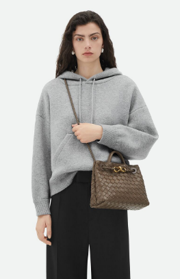 Bottega Veneta Small Andiamo 743568 Dark Brown Bottega Veneta Small Andiamo 743568 Dark Brown