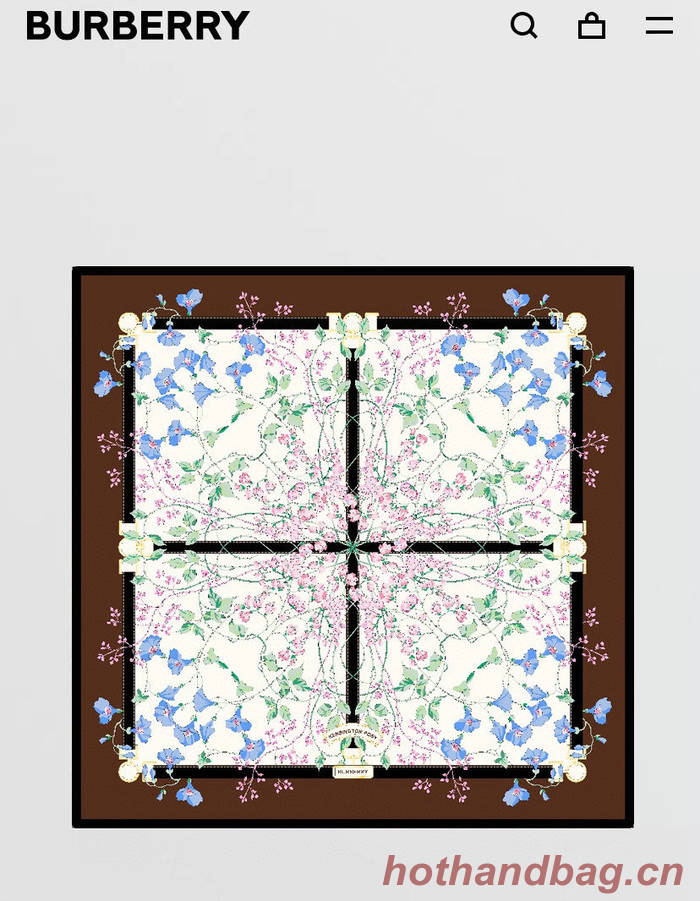 Burberry Scarf BBC00123 Burberry Scarf BBC00123
