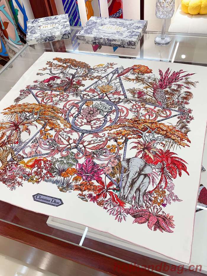 Dior Scarf DIC00174 Dior Scarf DIC00174