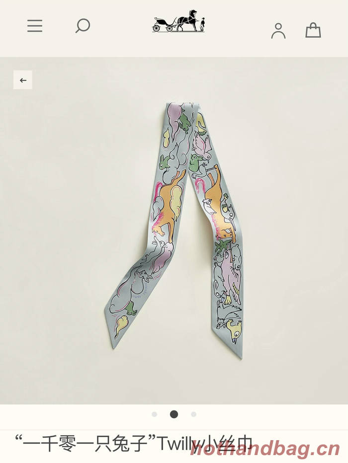 Hermes Scarf HEC00569 Hermes Scarf HEC00569