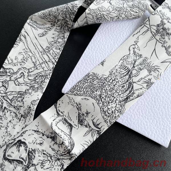 Dior Scarf DIC00213 Dior Scarf DIC00213