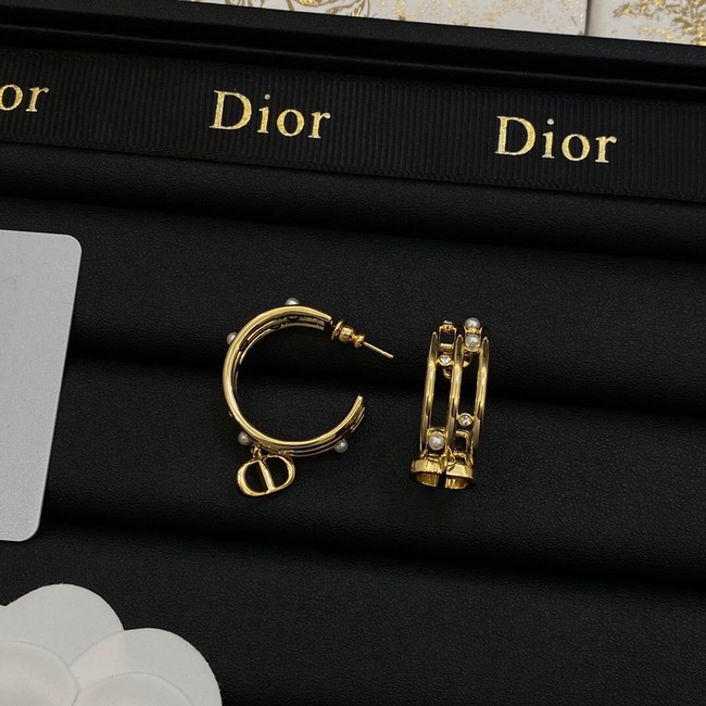 Dior Earrings CE14063