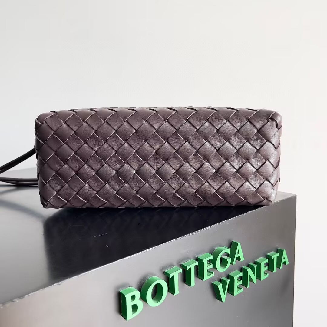 Bottega Veneta Loop Camera Bag 723548 Fondant Bottega Veneta Loop Camera Bag 723548 Fondant