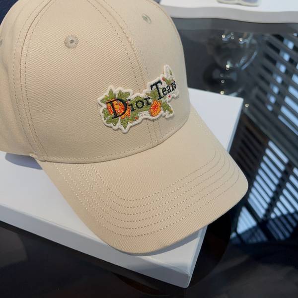 Dior Hat CDH00384 Dior Hat CDH00384