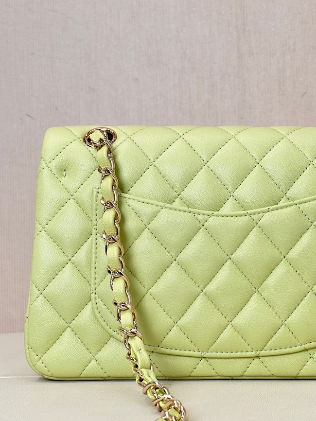Chanel CLASSIC HANDBAG Lambskin & Gold-Tone Metal A01113 light green