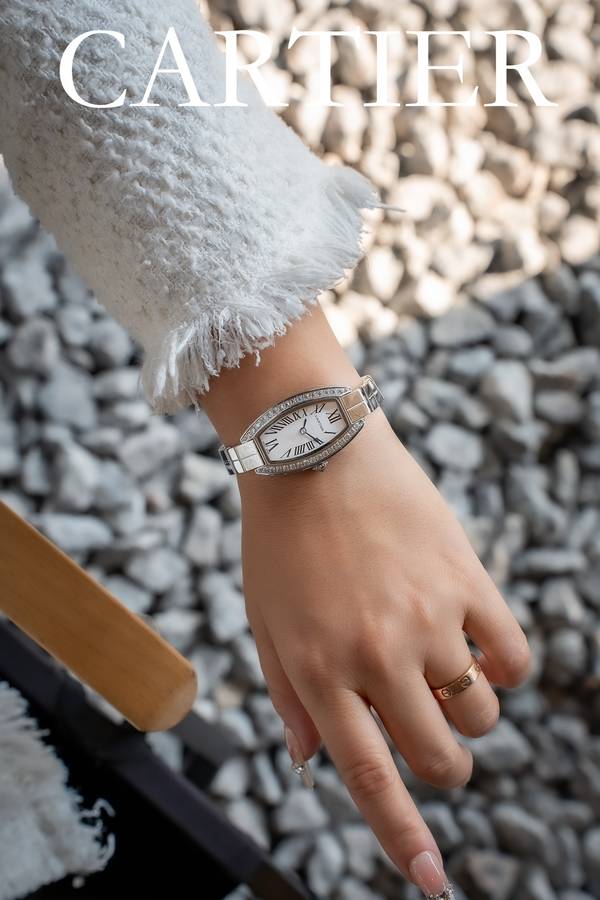 Cartier Watch CTW00723-1