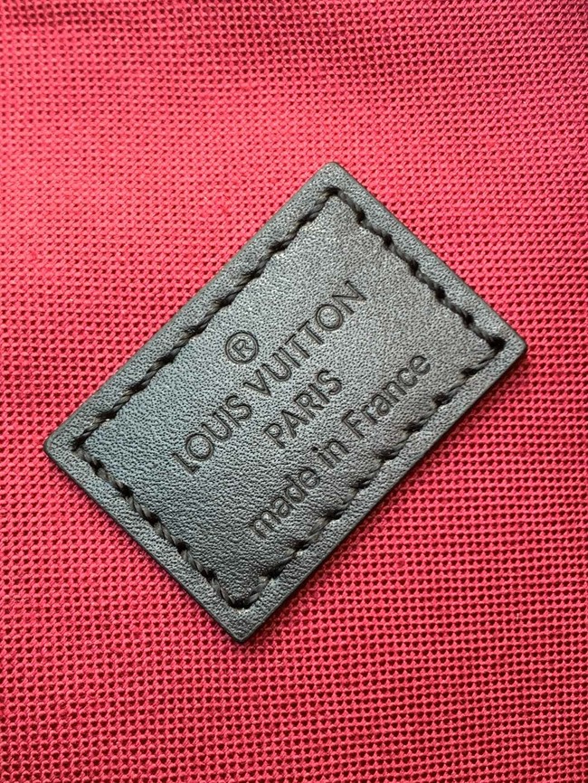 Louis Vuitton Backpack Montsouris EARLY ACCESS M45501 black