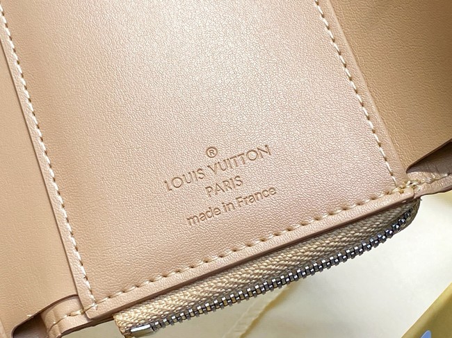 Louis Vuitton Wallet M14143 Khaki