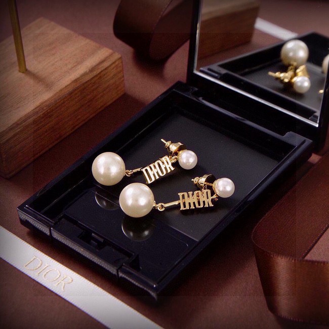 Dior Earring CE16571