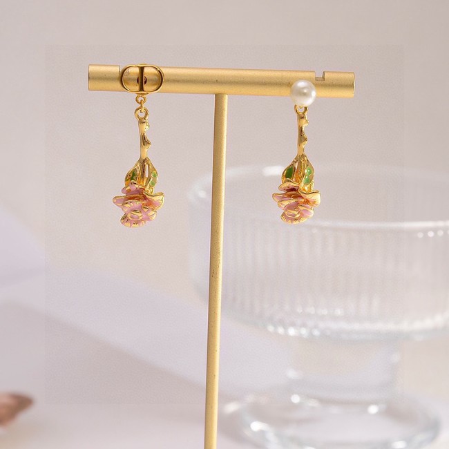 Dior Earring CE16574
