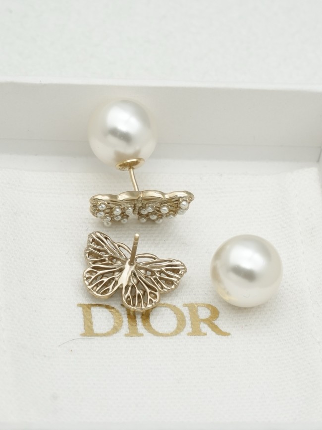 Dior Earring CE16653
