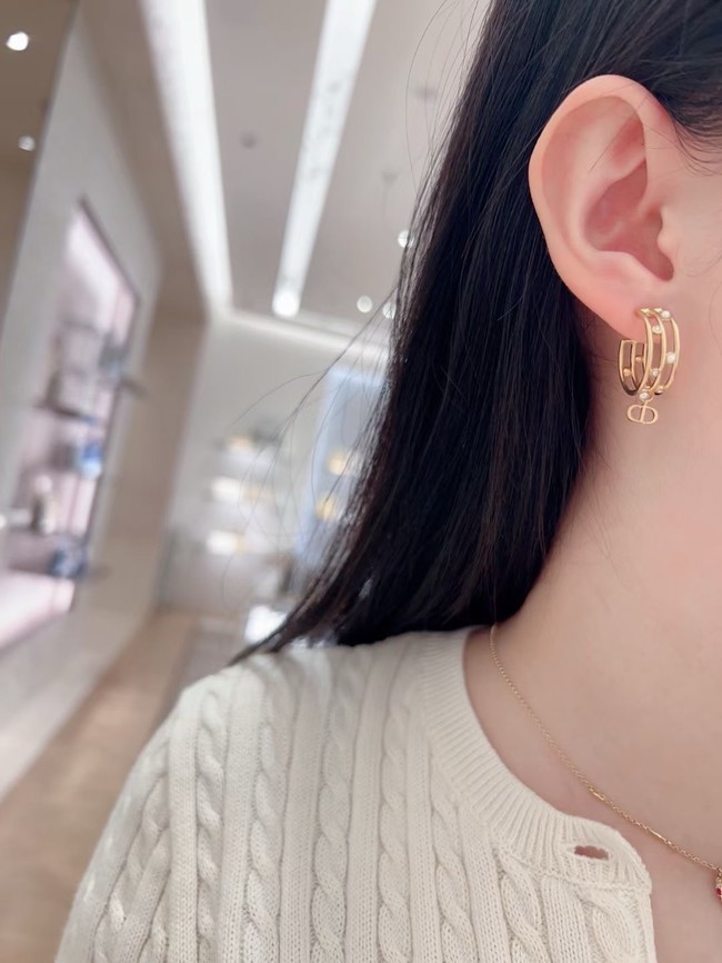 Dior Earring CE16833