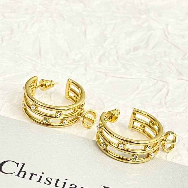 Dior Earring CE16833