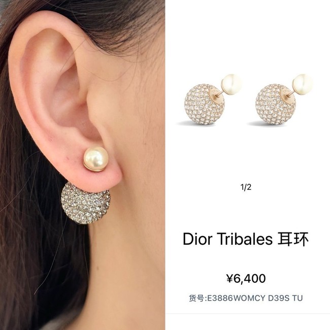 Dior Earring CE16854