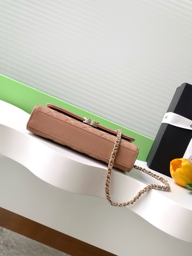 Chanel MINI FLAP BAG CLUTCH WITH CHAIN Gold-Tone Metal AP3238 brown