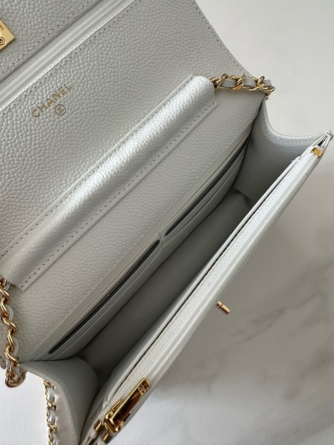 Chanel Classic Wallet On Chain Grained Calfskin AP4241-17