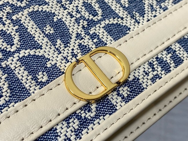 DIOR 30 Montaigne Cigale Pouch with Chain S4302