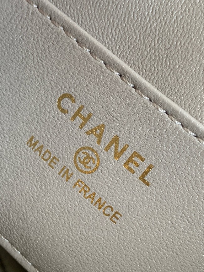 Chanel MINI FLAP BAG AS4679 GRAY