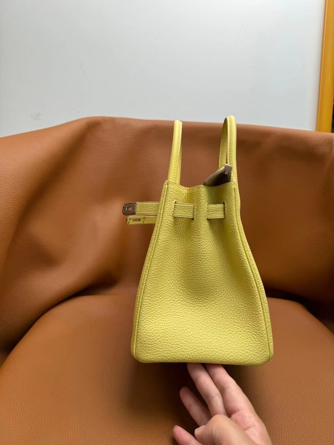 Hermes Birkin Bag togo Leather 5570-14