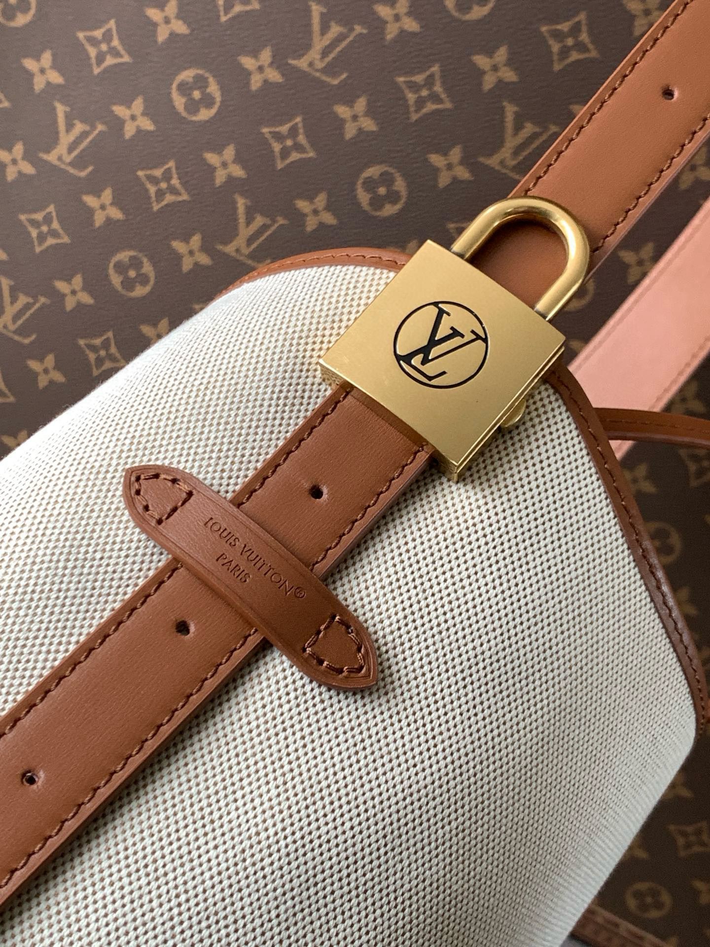Louis Vuitton Low Key Hobo PM M25468 Brown