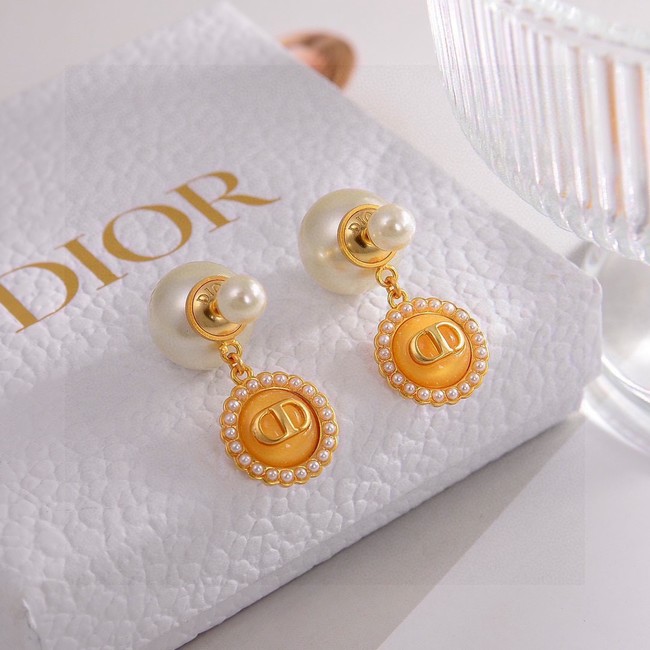 Dior Earrings CE80985