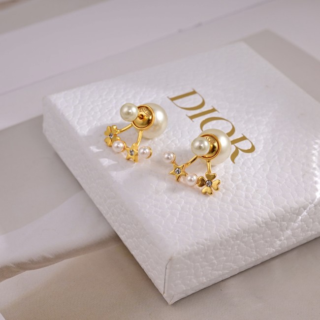 Dior Earrings CE80991