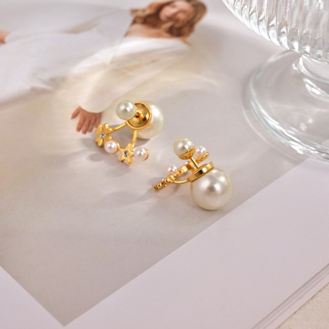Dior Earrings CE80991