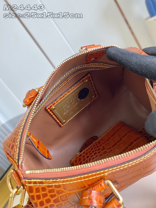 Louis Vuitton Speedy M24443 black