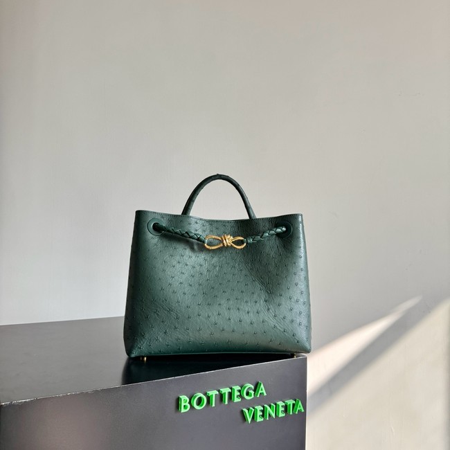 Bottega Veneta Andiamo 766016 Jungle
