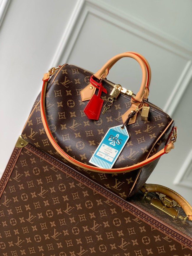 Louis Vuitton Speedy Soft 30 Crafty M11945