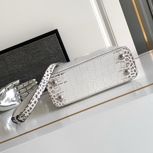 Louis Vuitton Capucines MINI M98156 light gray