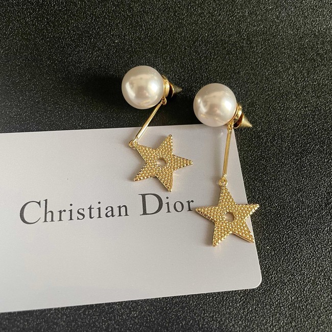 Dior Earring CE81956