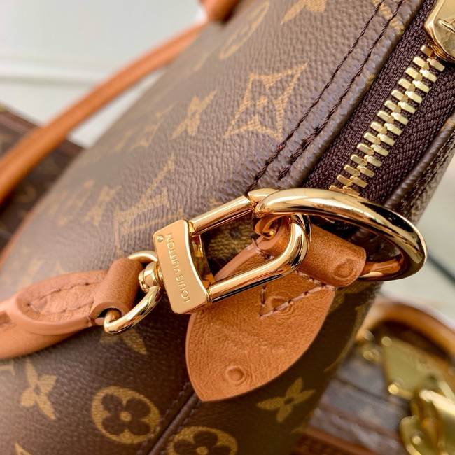 Louis Vuitton Alma MM Soft Celebration N30049